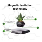 HomoriHome™ Magnetic Levitating Lamp – Floating Light Design & Wireless LED Glow